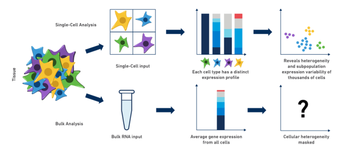 Figure 2: Flowchart of comparison of Bulk and Single cell-rnaseq